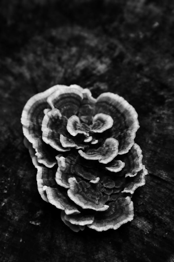 2010 10 06 IMG 11021